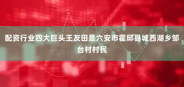 配资行业四大巨头王友田是六安市霍邱县城西湖乡邹台村村民