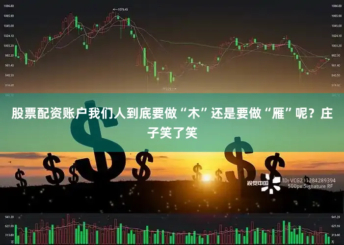股票配资账户我们人到底要做“木”还是要做“雁”呢？庄子笑了笑
